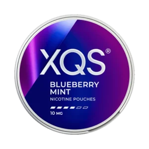 XQS Blueberry Mint 10mg Nicotine Pouches