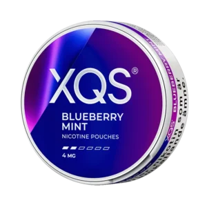 XQS Blueberry Mint 4mg Light Nicotine Pouches