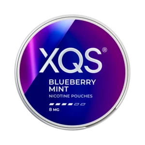 XQS Blueberry Mint 8mg Nicotine Pouches